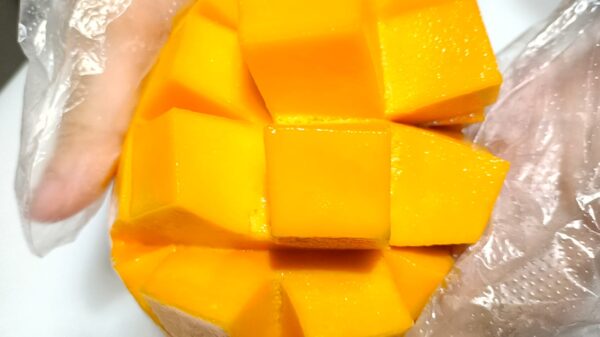 Fresh mango