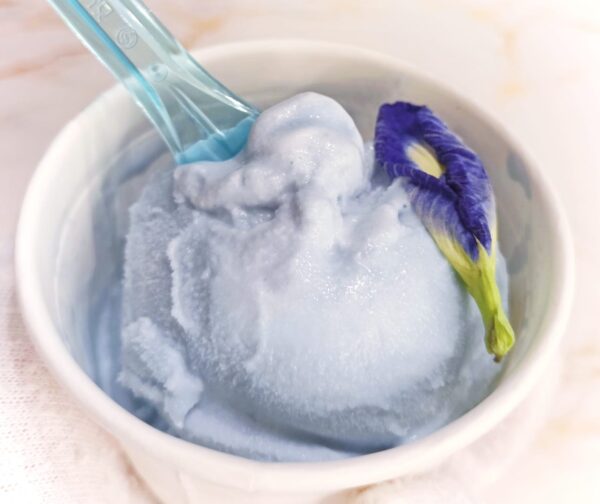 Honey Blue Pea Flower Cups